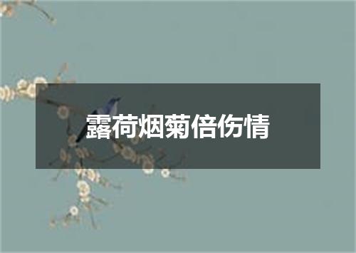 露荷烟菊倍伤情