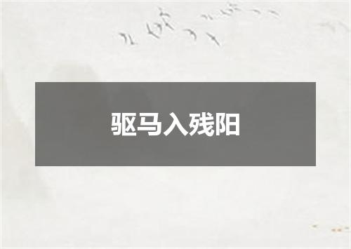 驱马入残阳