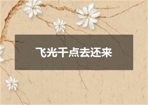 飞光千点去还来