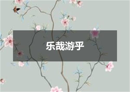 乐哉游乎