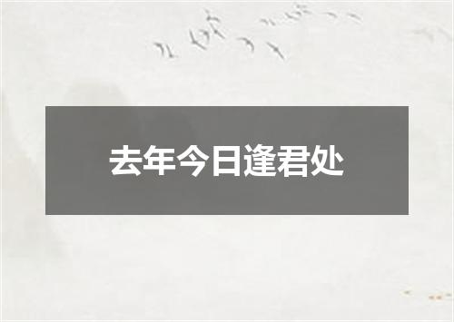 去年今日逢君处