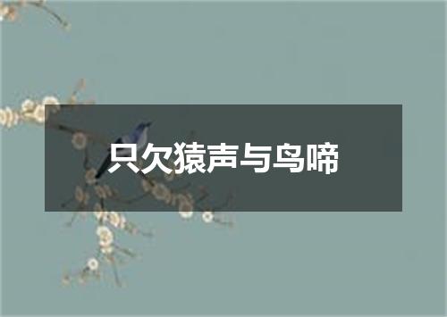 只欠猿声与鸟啼