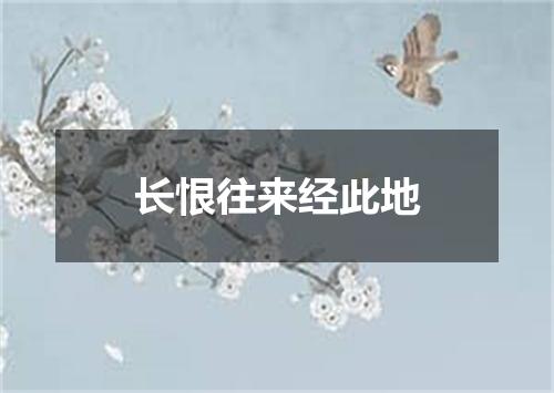 长恨往来经此地
