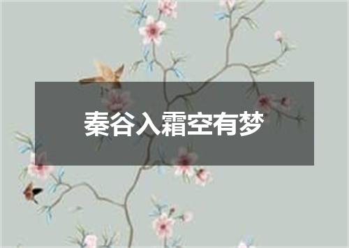 秦谷入霜空有梦