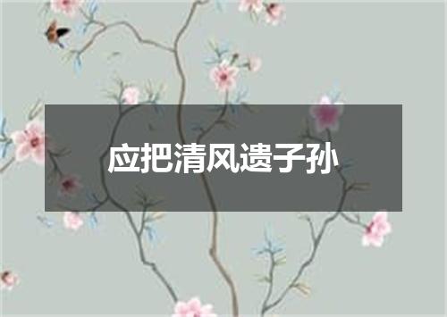 应把清风遗子孙