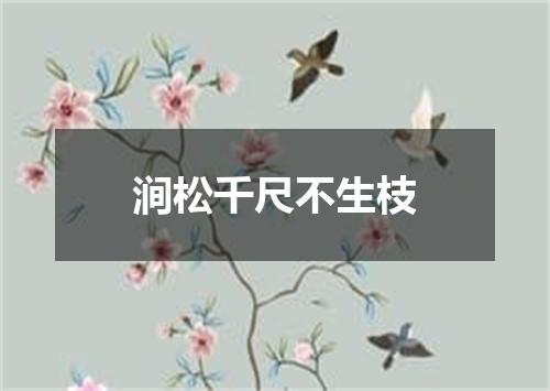 涧松千尺不生枝