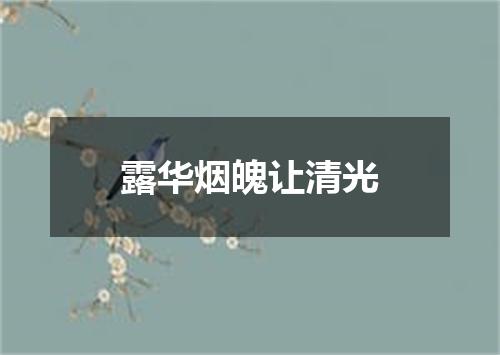 露华烟魄让清光