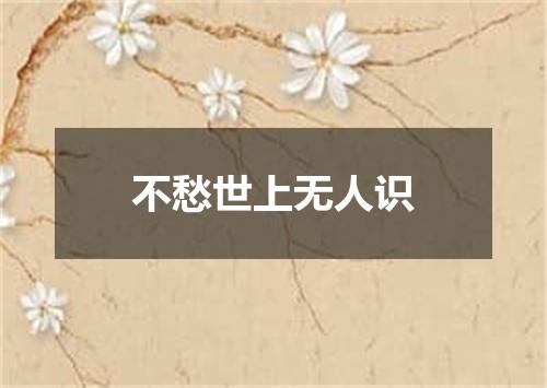 不愁世上无人识
