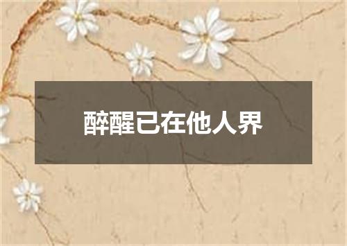 醉醒已在他人界
