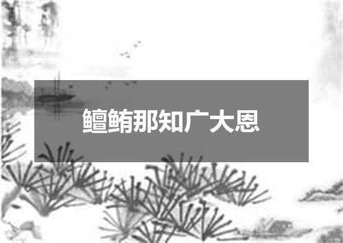 鳣鲔那知广大恩