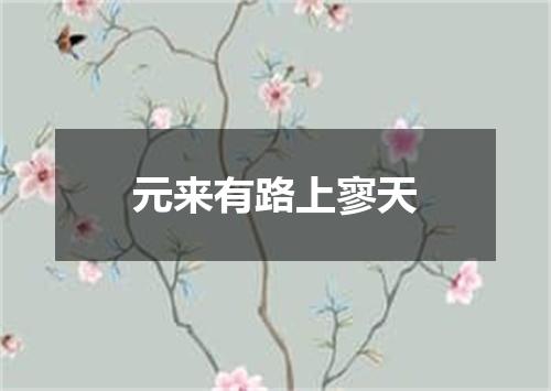 元来有路上寥天