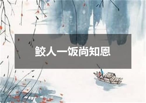 鲛人一饭尚知恩