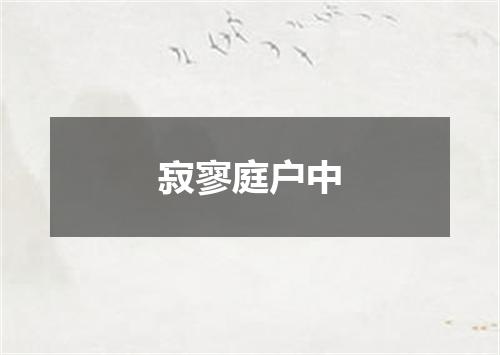 寂寥庭户中