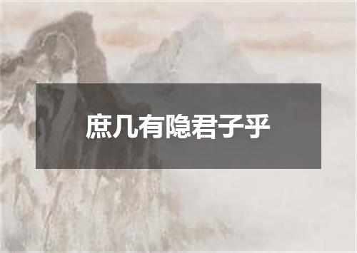 庶几有隐君子乎