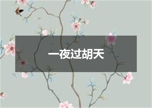 一夜过胡天