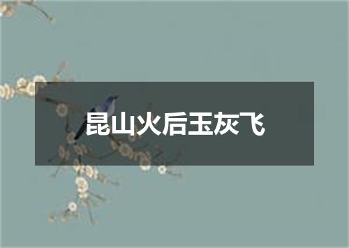 昆山火后玉灰飞