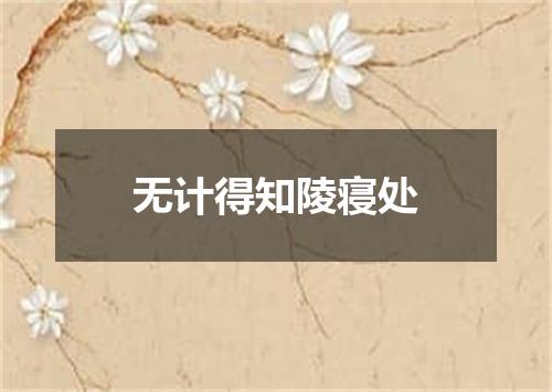 无计得知陵寝处