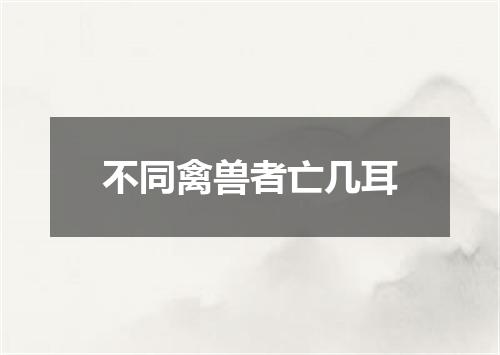 不同禽兽者亡几耳
