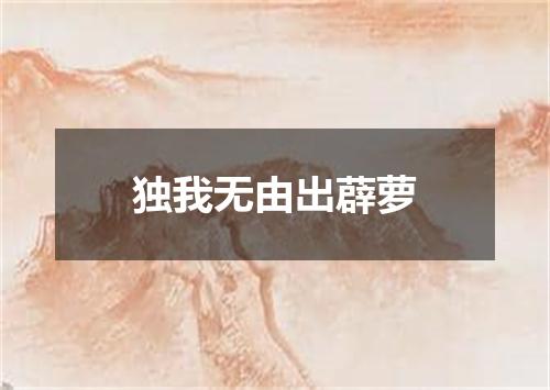 独我无由出薜萝