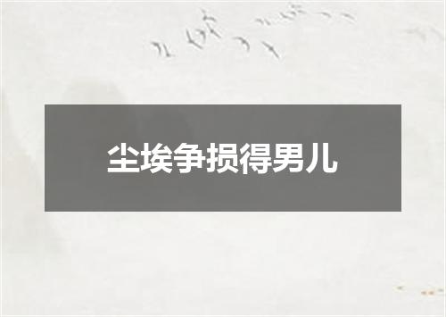 尘埃争损得男儿