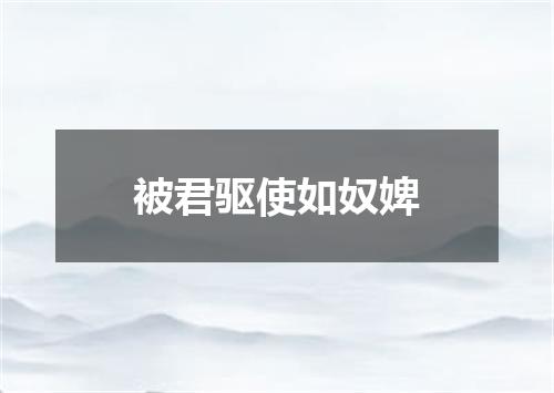 被君驱使如奴婢