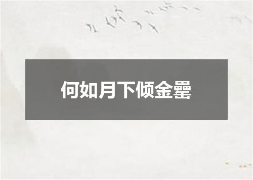 何如月下倾金罍