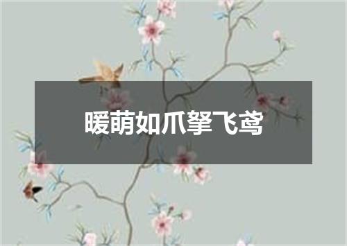 暖萌如爪拏飞鸢