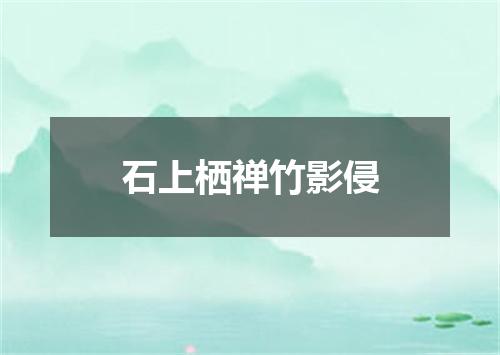 石上栖禅竹影侵