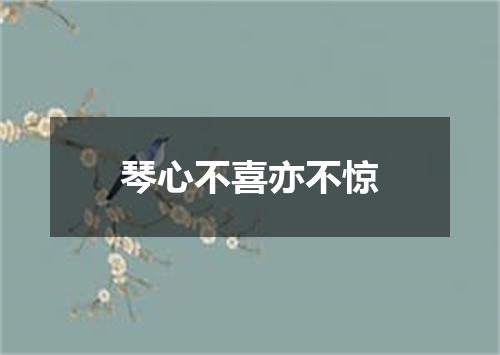 琴心不喜亦不惊