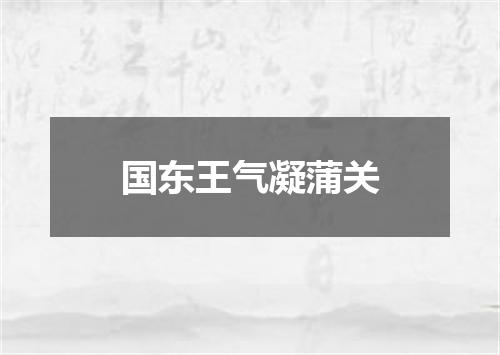 国东王气凝蒲关