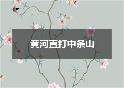 黄河直打中条山