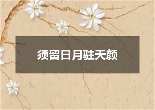 须留日月驻天颜