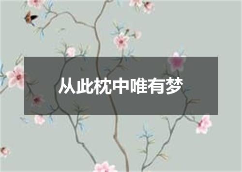 从此枕中唯有梦