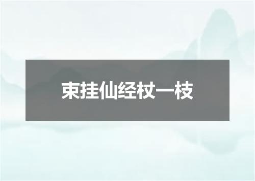 束挂仙经杖一枝