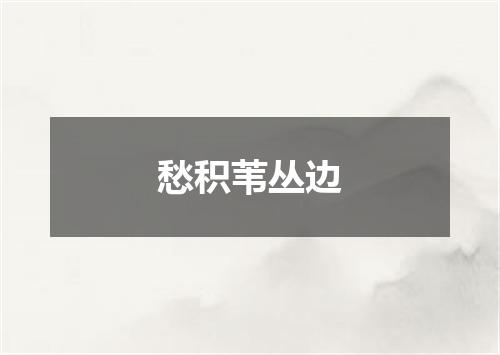 愁积苇丛边