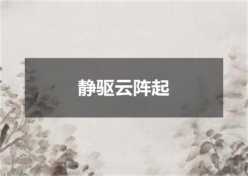 静驱云阵起