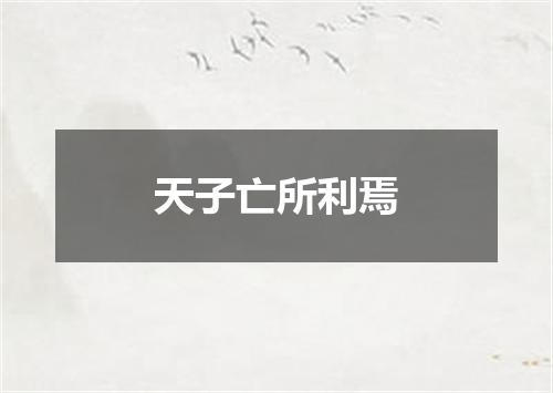 天子亡所利焉