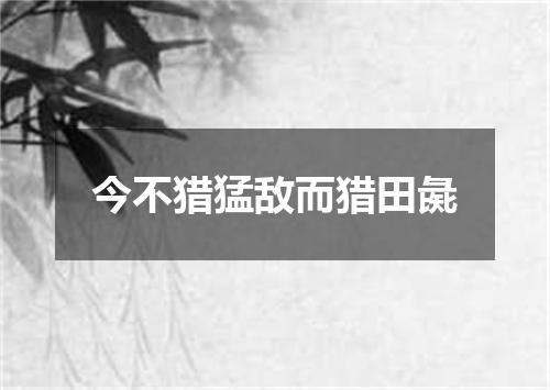 今不猎猛敌而猎田彘