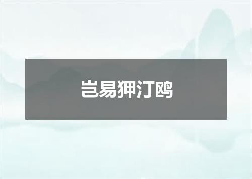 岂易狎汀鸥