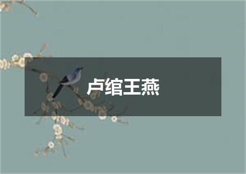 卢绾王燕