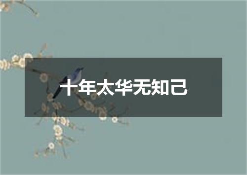 十年太华无知己