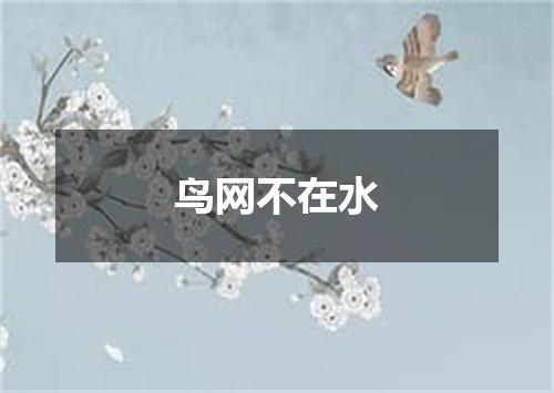 鸟网不在水