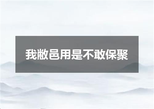 我敝邑用是不敢保聚