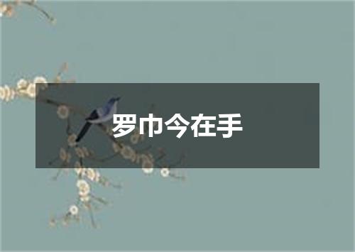 罗巾今在手