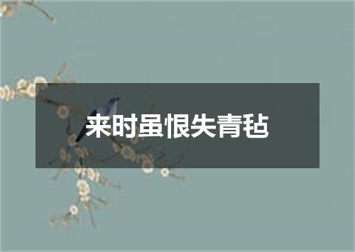 来时虽恨失青毡
