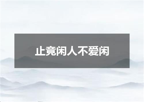 止竟闲人不爱闲