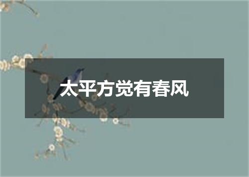 太平方觉有春风