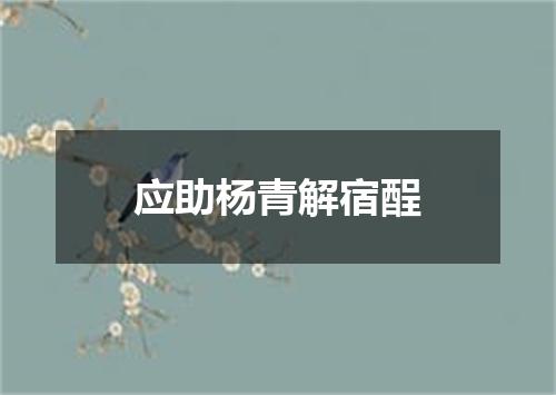 应助杨青解宿酲