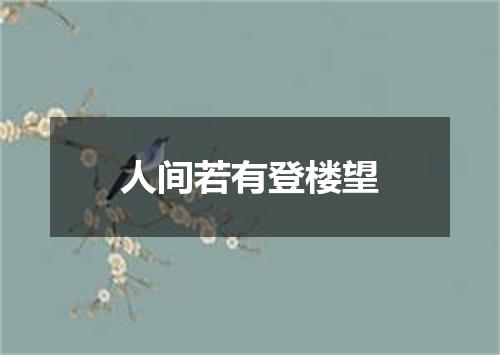 人间若有登楼望