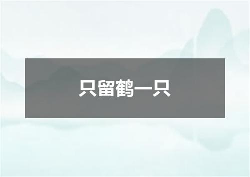 只留鹤一只